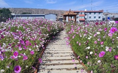 男的最后越来越快是怎么回事